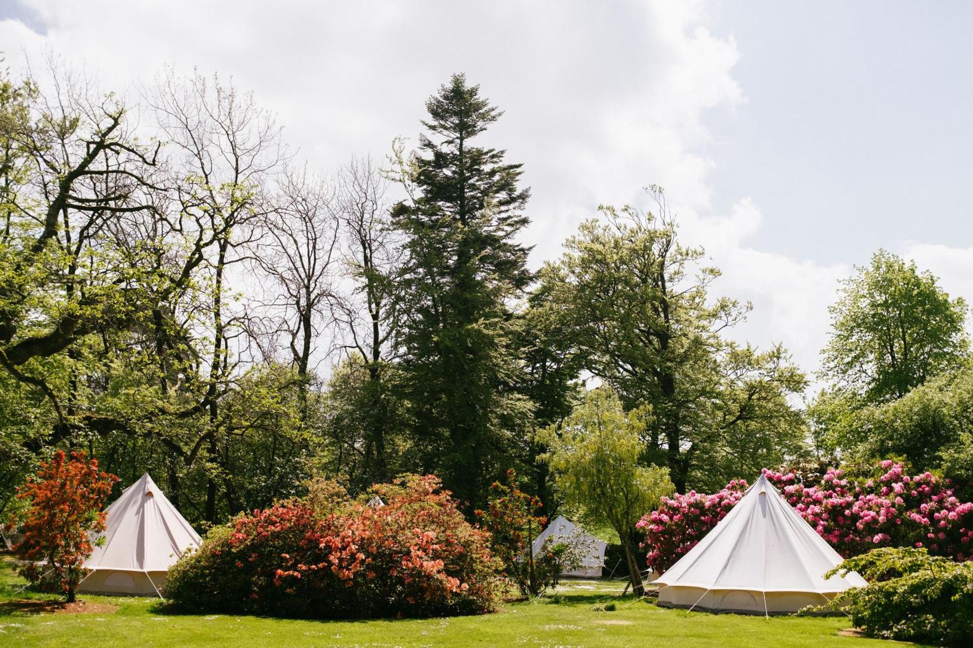 Ballyvolane House ファーモイ 部屋 写真