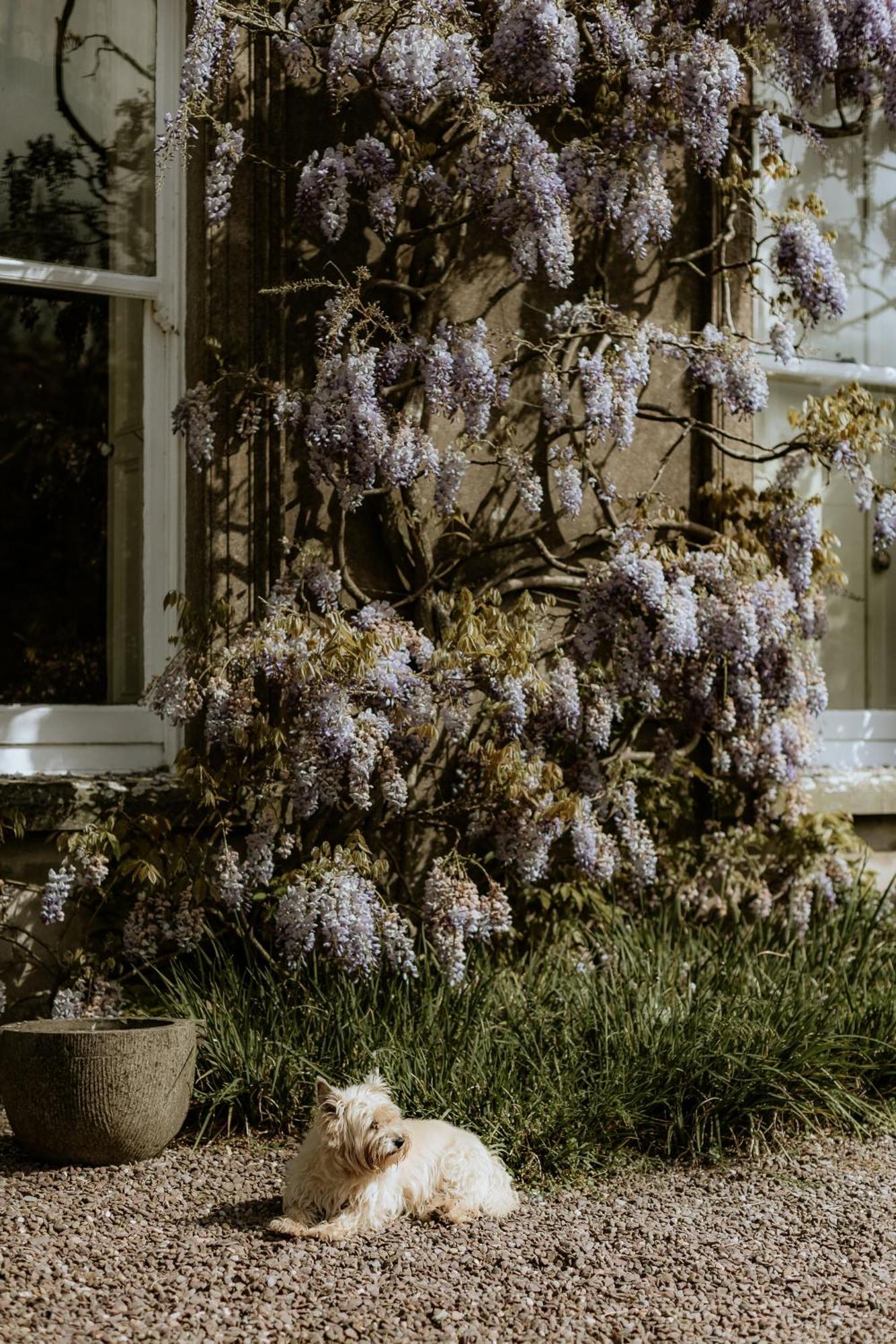 Ballyvolane House ファーモイ エクステリア 写真